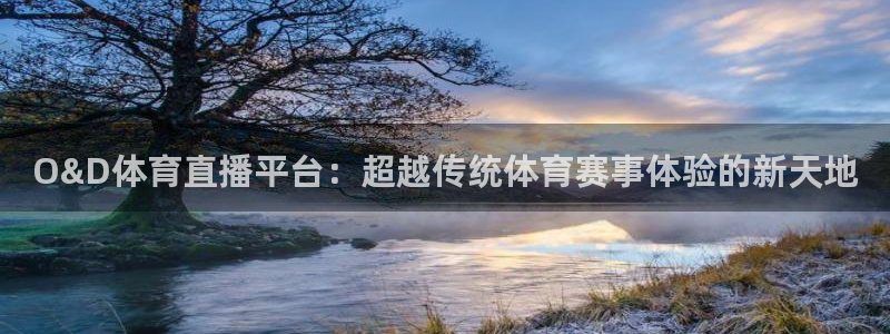 O&D体育直播平台：超越传统体育赛事体验的新天地