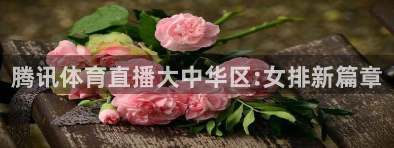 腾讯体育直播大中华区:女排新篇章