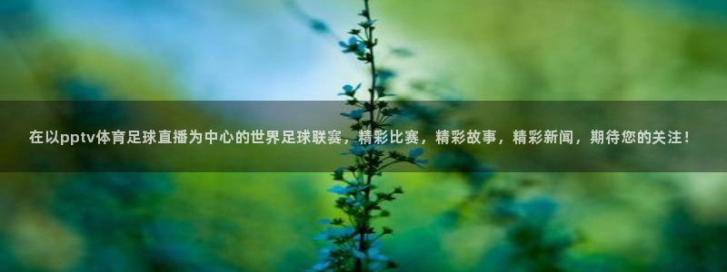 在以pptv体育足球直播为中心的世界足球联赛，精彩比赛，精彩故事，精彩新闻，期待您的关注！