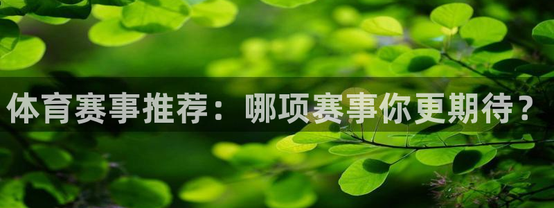 体育赛事推荐：哪项赛事你更期待？