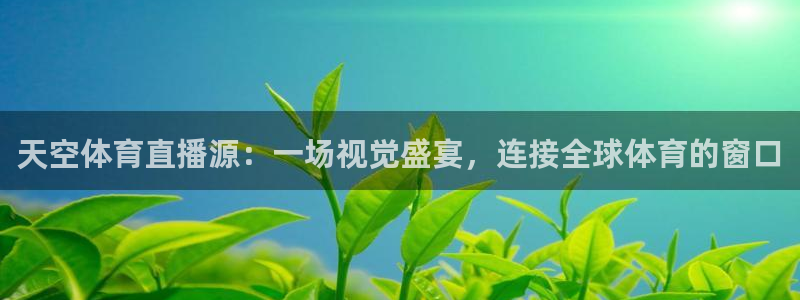 天空体育直播源：一场视觉盛宴，连接全球体育的窗口
