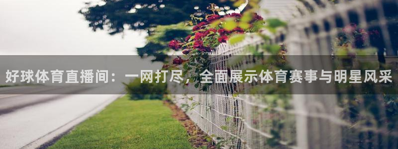 好球体育直播间：一网打尽，全面展示体育赛事与明星风采