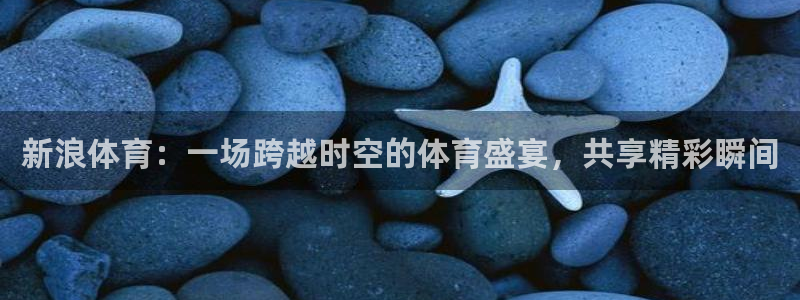 新浪体育：一场跨越时空的体育盛宴，共享精彩瞬间